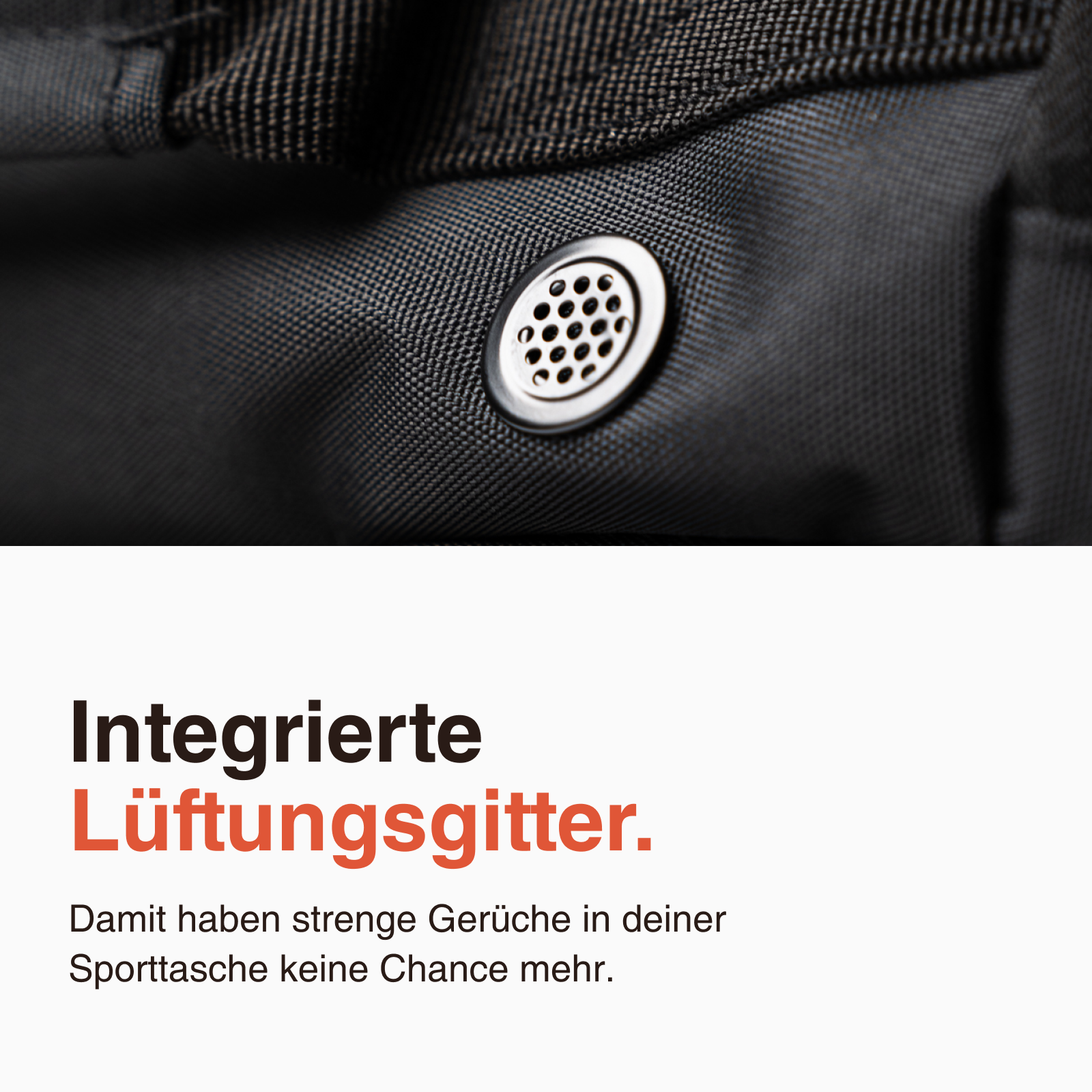 LODA compact + Freshy + Schloss